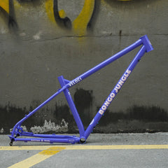 Comp - Bike Frames